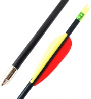 foto Šíp laminátový 30” Poe Lang